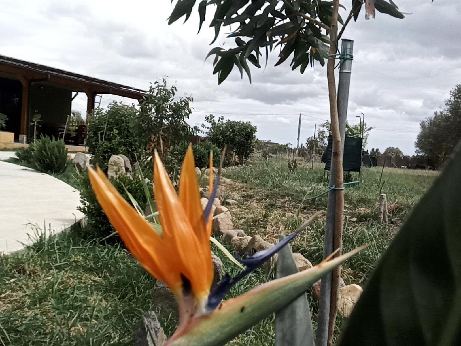 Podere Kiri Dome Experience Decimomannu Экстерьер фото